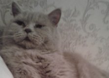 Бонифаций, Киев