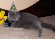 Дрюня, 4 года