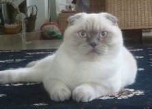Винтер