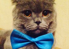Федя, Киев