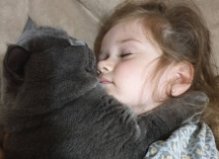 Кот, Борщаговка