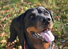 Куба