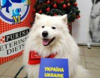 Сёма, Центр