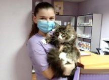 Мейн кун Барик