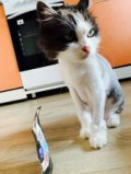 Вася, 13 лет