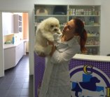 ЦСВМ Осокорки