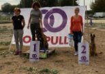 Чемпіонат з Dog Puller на Sport Dog Area
