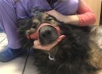 Лечение Графа Лечение Графа