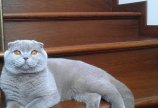 Вас приветствует Малыш