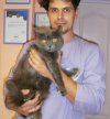 Кошка Лилу – постоянная клиентка и жительница гостинницы