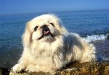 А я на море))