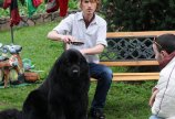 Барик в клипе Дениса Любимова Любви больше нет