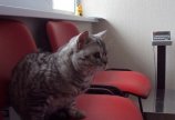 Изучаем территорию