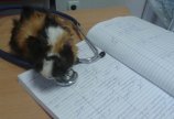 На приеме
