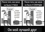 «Моя собака: парадокс»