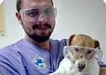 Удаление зубного камня у домашних любимцев