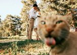 Фотобомбинг от животных