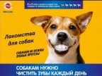 Вебинар компании Mars
