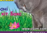 ЦСВМ определил для себя будущих звезд