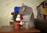 Как сделать елку безопасной для домашних животных