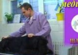 Видео про клинику
