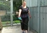 Как открыть свой отель для животных?
