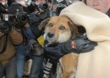 Японские истории