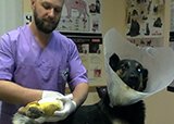 Шанс на полноценную жизнь