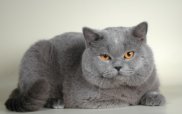 Безмятежное спокойствие