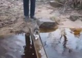Левой - правой, раз - два