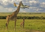 Конкурс фотографий The Comedy Wildlife Photography Awards