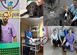 ЦСВМ вселяет надежду и спасает жизни