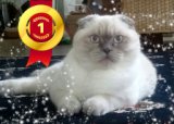 Зима в ЦСВМ началась раньше календаря