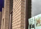 Бельгийская полиция: коты прежде всего