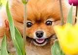 С радостью сообщаем, что клиника ЦСВМ на Липках открылась!
