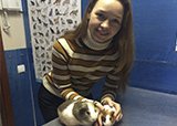 Конец конкурса «Кошке нужно имя»: есть победитель!