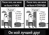 «Моя собака: парадокс»