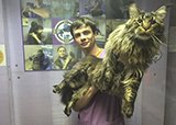 Кто же он - Доминик?