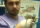 Вальдшнеп на приеме в ЦСВМ
