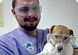 Удаление зубного камня у домашних любимцев