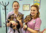 Дорогие пациенты в гостях у ЦСВМ