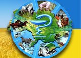 14 августа 2016 - день работника ветеринарной медицины в Украине!