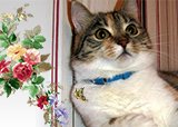 Машкина удача принесла ей победу!