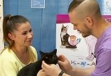 Кот у офтальмолога