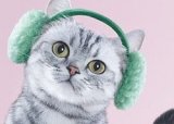 Радио для животных