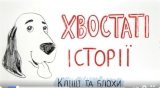 Наглядное и понятное видео как защитить питомца от клещей и блох