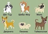 Собака - друг человека