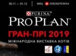 Pro Plan Гран-При 2019. Выставка кошек