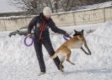 Чемпионат на Sport Dog Area "Встречай весну активно"