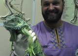 Зеленая игуана Валера в ЦСВМ